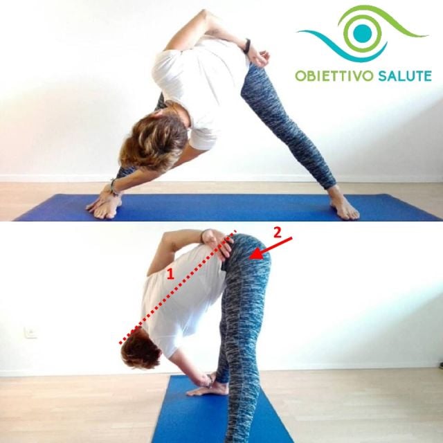Esercizi di stretching per la schiena Obiettivo Salute