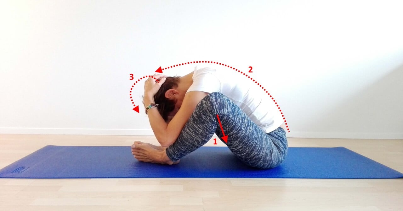 Esercizi di stretching per la schiena Obiettivo Salute