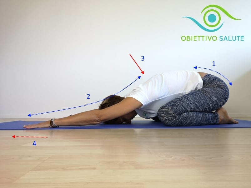 esercizi stretching schiena